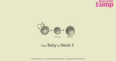 Your Baby at Week 3