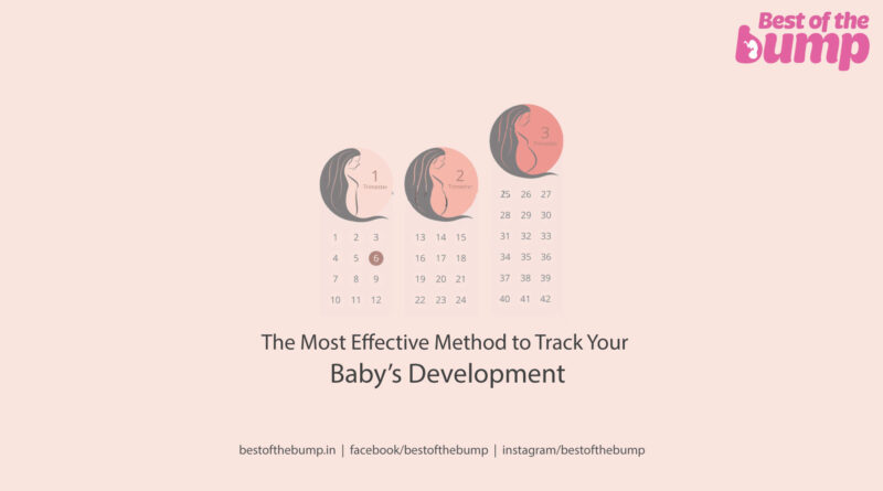 Track Your Baby’s Development