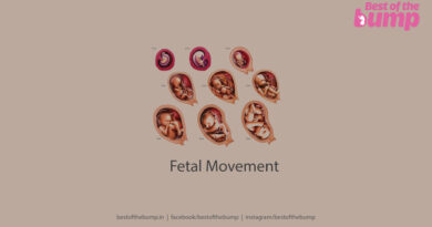 Fetal Movement
