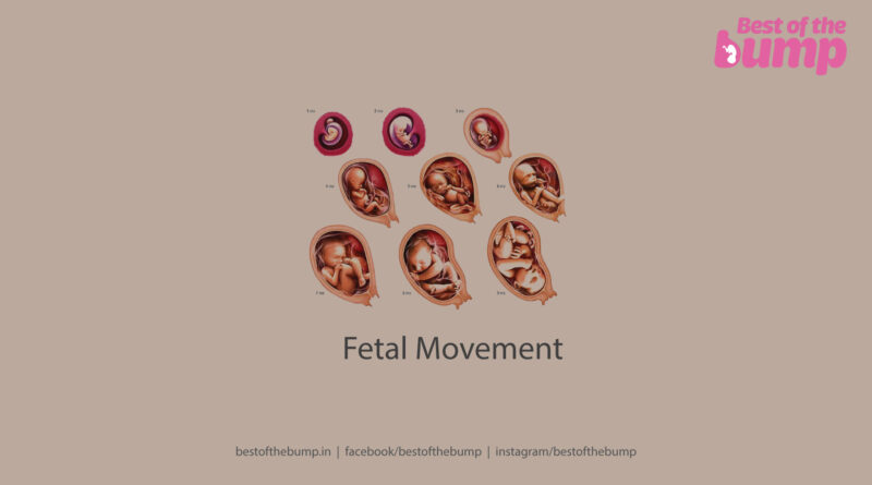 Fetal Movement