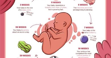 Fetus: Growth, Development and Nutrition