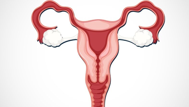 Ectopic Pregnancy: Symptoms, Causes and Treatments