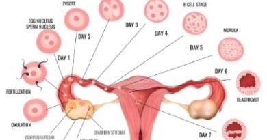 What Is Ovulation? Cycle Timeline and Pain