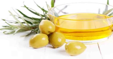 olive oil during Pregnancy